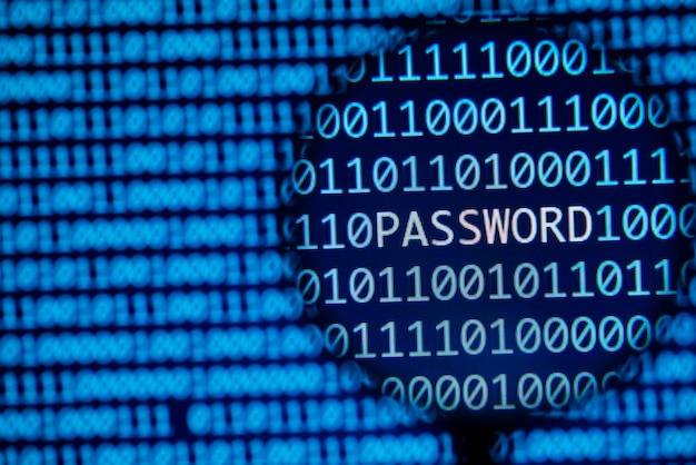 Concetto di sicurezza della password online