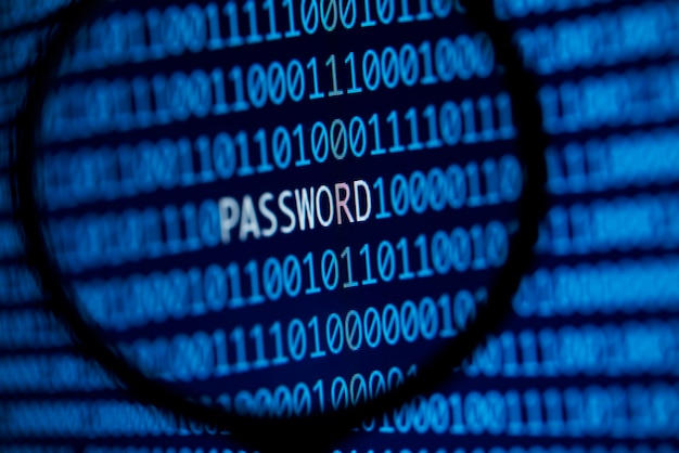 Concetto di sicurezza della password online