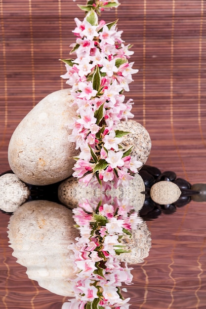 Concetto di Spa con pietre zen su acqua, fiori e bambù