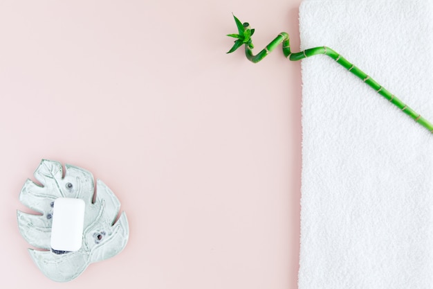 Concetto di SPA: una pila di tre rotoli di soffici asciugamani bianchi con pianta di bambù verde fortunato