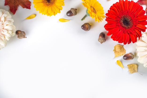 Concetto di tema autunnale. Composizione piatta con fiori colorati, foglie gialle rosse, zucche bianche su sfondo bianco. Autunno luminoso, concetto del giorno del ringraziamento. Disposizione piana, vista dall'alto, copia spazio