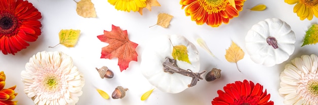 Concetto di tema autunnale. Composizione piatta con fiori colorati, foglie gialle rosse, zucche bianche su sfondo bianco. Autunno luminoso, concetto del giorno del ringraziamento. Disposizione piana, vista dall'alto, copia spazio