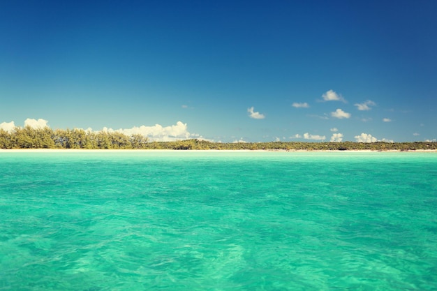 concetto di vacanza, viaggio e sfondo - mare blu o oceano, spiaggia e foresta