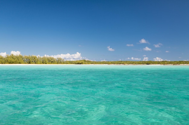 concetto di vacanza, viaggio e sfondo - mare blu o oceano, spiaggia e foresta