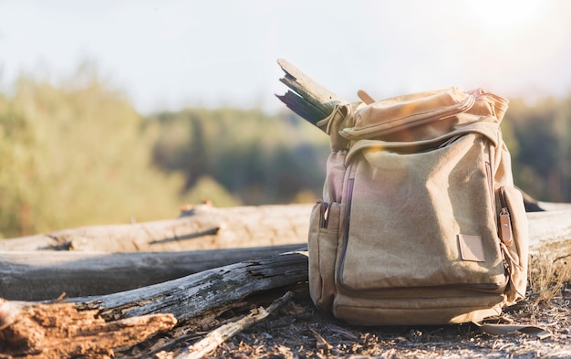 Concetto di viaggio e stile di vita attivo. Vecchio zaino della tela sul fondo della foresta