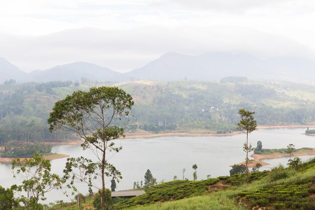 concetto di viaggio, turismo, natura e paesaggio - vista lago o fiume dalle colline di terra sullo Sri Lanka