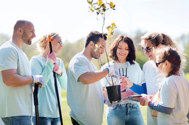 concetto di volontariato, beneficenza, persone ed ecologia - gruppo di volontari con appunti che piantano alberi nel parco