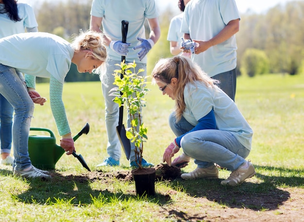 concetto di volontariato, beneficenza, persone ed ecologia - gruppo di volontari felici che piantano alberi e scavano buche con la pala nel parco