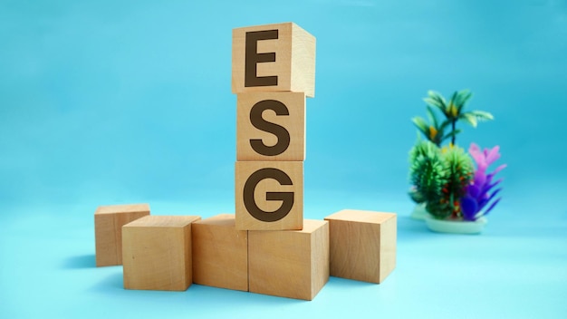 Concetto ESG sociale e di governance ambientale Parola ESG incisa su blocco di legno