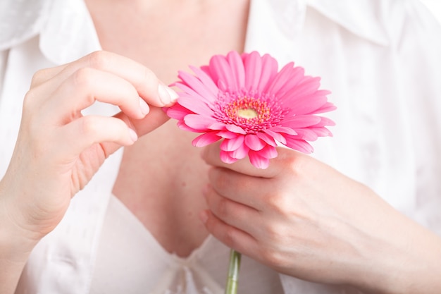 Concetto femminile di freshnes, gerbera rosa del fiore a disposizione