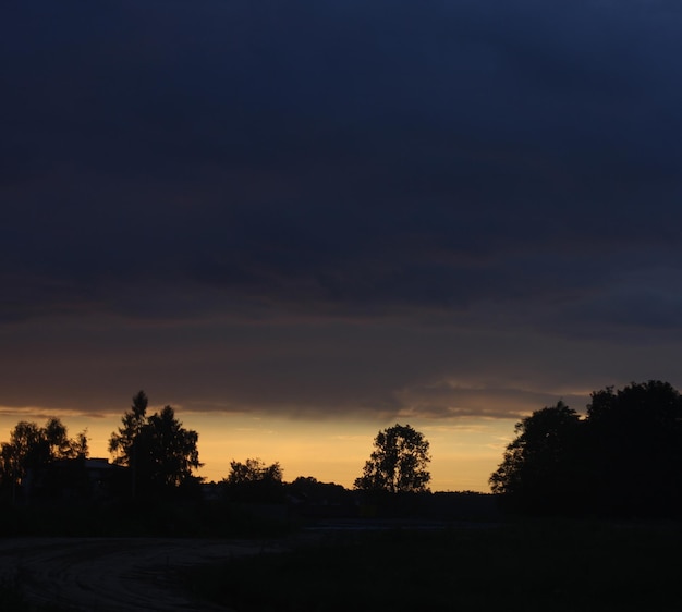 Concetto idilliaco di notte d'estate