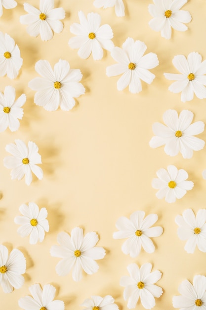 Concetto in stile minimale. Ghirlanda di fiori di camomilla margherita bianca su giallo pallido