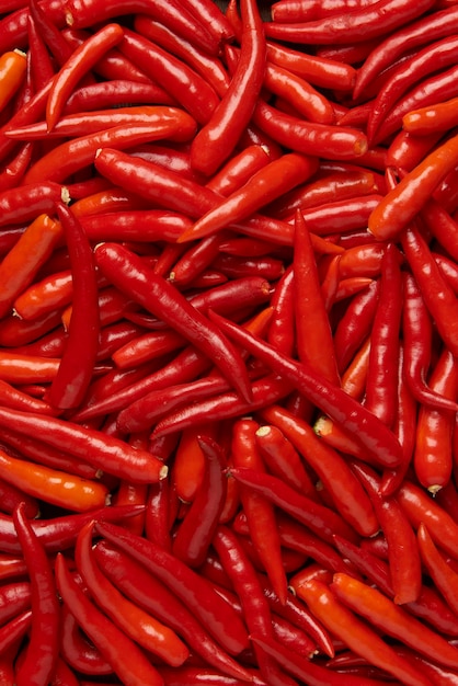 Concetto vegetale Le centinaia di peperoncini lunghi e lucidi e piccanti con diverse tonalità di colore di rosso