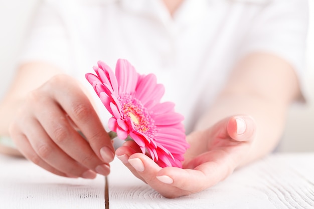 Concezione dell'igiene della donna. Gerbera rosa del fiore in mani femminili