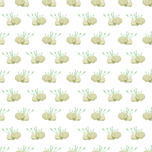 Conchiglie acquerello disegnate a mano e motivo senza giunture di alghe isolate su sfondo bianco Tessuto tessile per cartoline scrapbook
