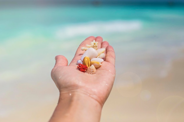 Conchiglie di mare colorate lucide sulla mano della donna con sfondo di acqua turchese, Zanzibar. Vacanza tropicale