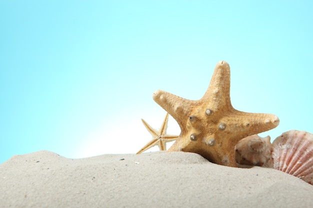 Conchiglie di sabbia e stelle marine su sfondo blu con posto per il testo