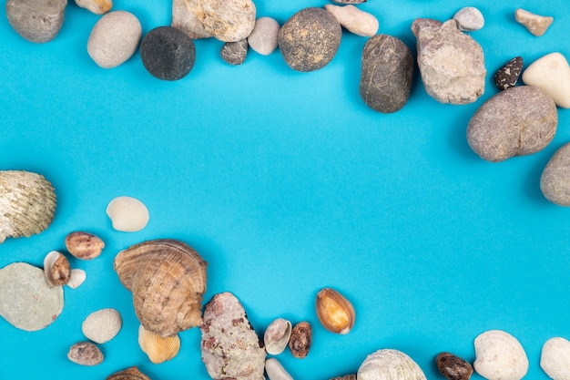 Conchiglie e rocce su sfondo blu. Tema marino