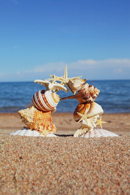 Conchiglie e stelle marine sono costruite da un arco sulla spiaggia del mare vicino all'acqua