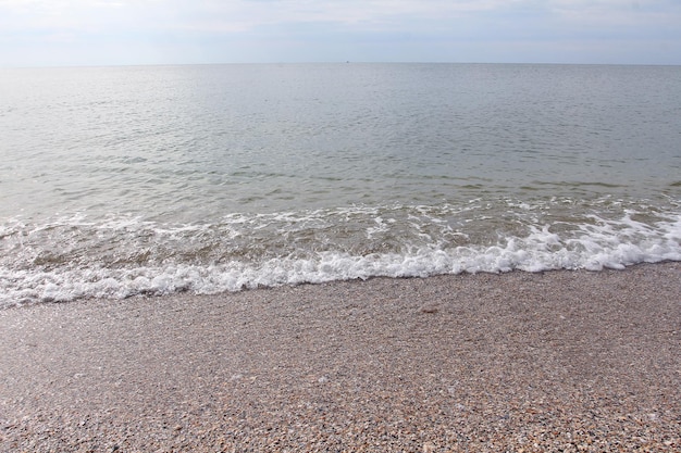 Conchiglie sabbia sulla spiaggia cirripedi sulla spuma del mare