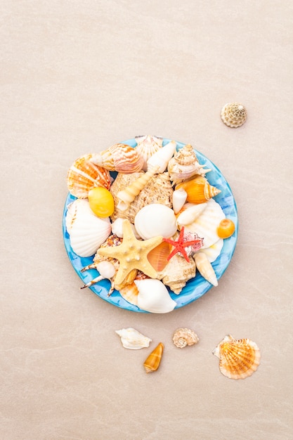 Conchiglie sul piatto, vista dall'alto, concetto di estate