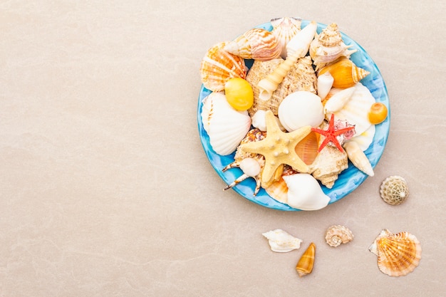 Conchiglie sul piatto, vista dall'alto, concetto di estate