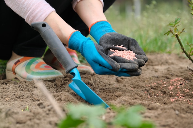 Concime granulato chimico minerale nelle mani di donna