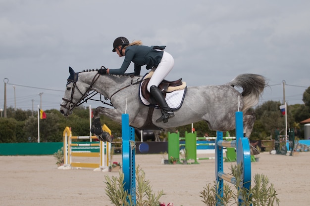 Concorso di salto a cavallo