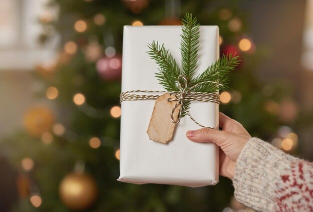 Confezione regalo per Natale