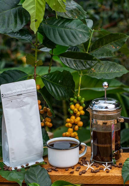 confezioni caffè e caffettiere in composizione con il paesaggio la tavola e il bosco