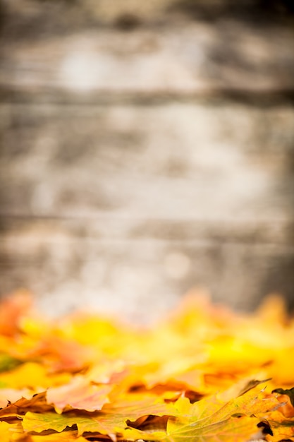 Confine autunnale da foglie di acero cadute su fondo di legno vecchio. Profondità di campo molto ridotta