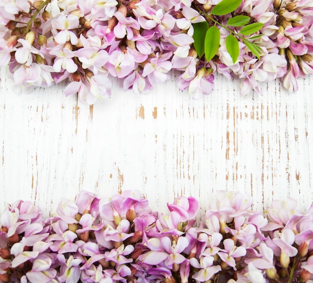 Confine con fiori di acacia