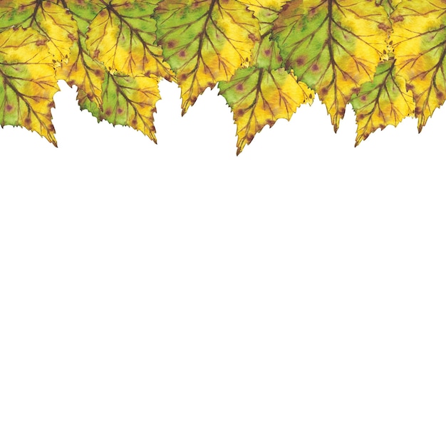 Confine con foglie autunnali gialle Illustrazione ad acquerello Clip art botanica fogliame Illustrazione per biglietti d'auguri citazioni e decorazioni per inviti di nozze