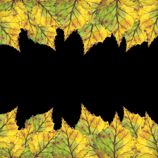 Confine con foglie autunnali gialle Illustrazione ad acquerello Clip art botanica fogliame Illustrazione per biglietti d'auguri citazioni e decorazioni per inviti di nozze