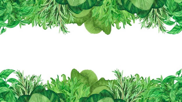 Confine senza cuciture con erbe fresche basilico rosmarino isolato su sfondo bianco acquerello disegno botanico disegnato a mano illustrazione disegno artistico cucina disegno menu decorazione grafica elegante