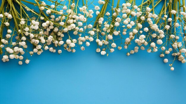 Confine superiore fatto con fiori di respiro bianchi su sfondo blu