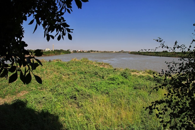 Confluenza dei fiumi Nilo Bianco e Nilo Azzurro