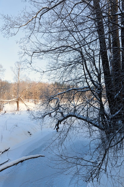 Congelato in inverno il fiume, la superficie del fiume e gli alberi sono coperti di neve