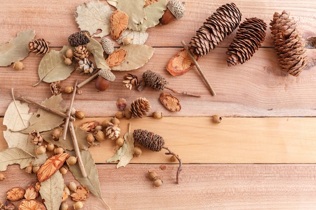 coni, ghiande e pezzi di legno su un fondo di legno