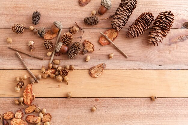 coni, ghiande e pezzi di legno su un fondo di legno