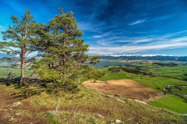 Conifere di pino in cima alla collina e splendida vista sul paese primaverile con montagne innevate sullo sfondo