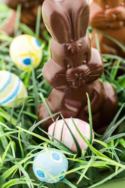 Coniglietti pasquali di cioccolato a base di cioccolato al latte e fondente.