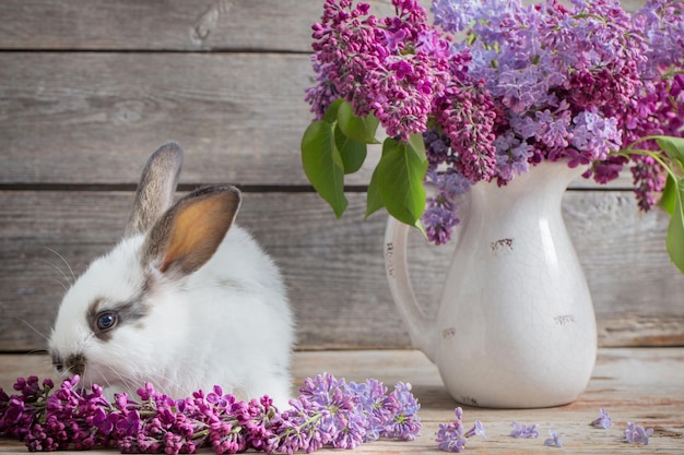 Coniglietto con fiori di primavera su sfondo di legno