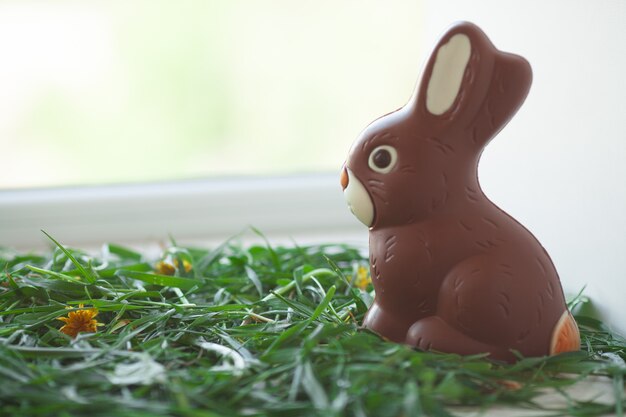 Coniglietto di Pasqua al cioccolato su un prato. Gustoso cioccolato.