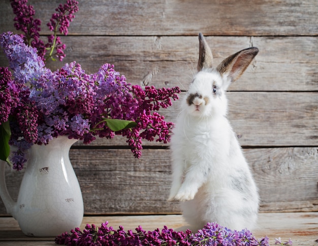 Coniglietto di pasqua con il lillà su spazio di legno