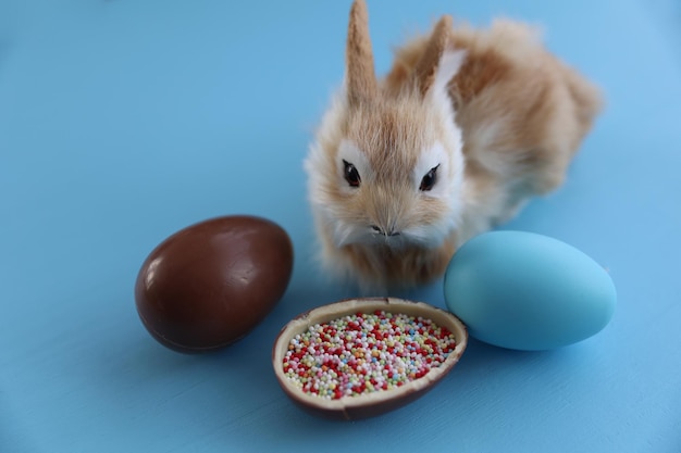 Coniglietto pasquale con uovo di cioccolato