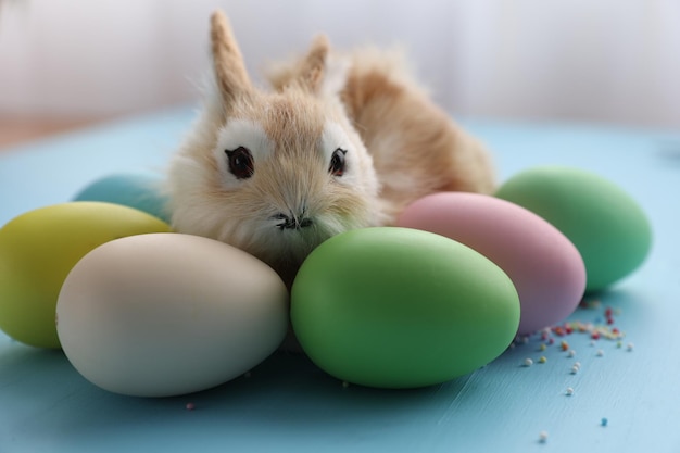 Coniglietto pasquale con uovo di cioccolato