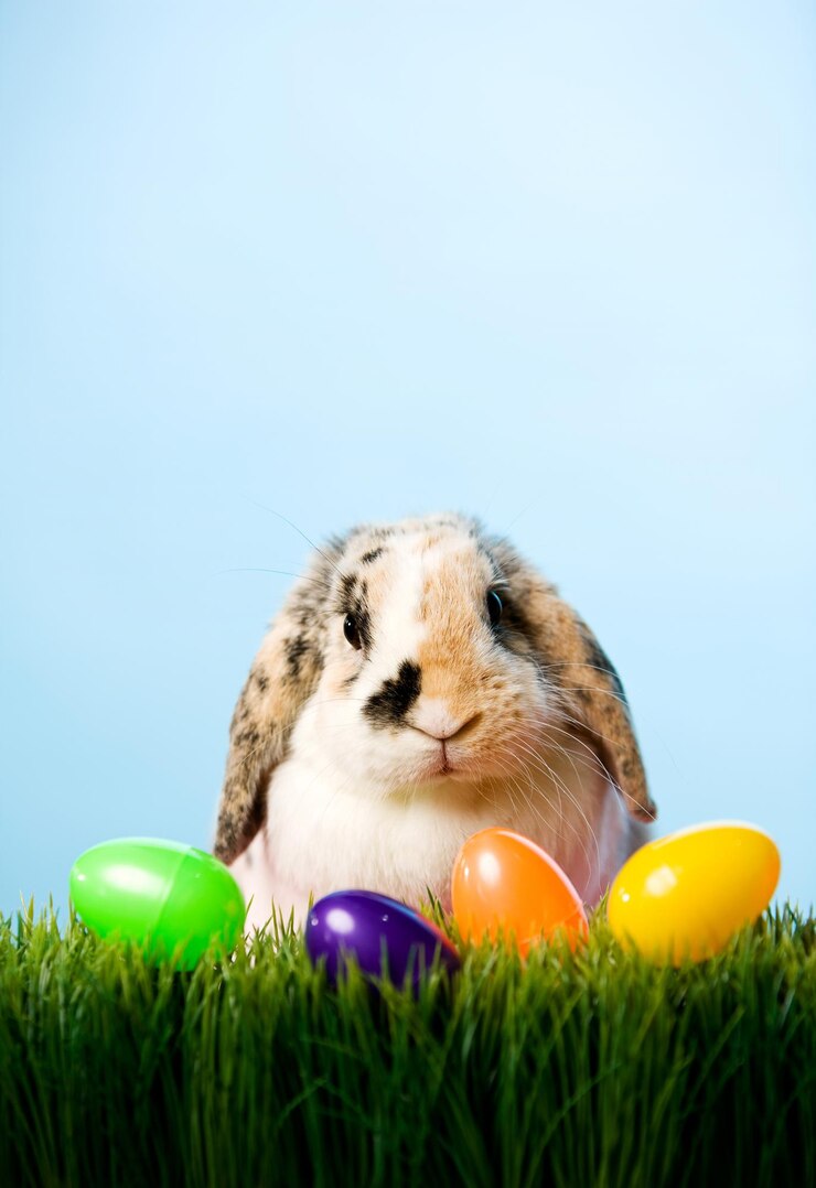 Foto coniglio con le uova di pasqua seduto sul campo