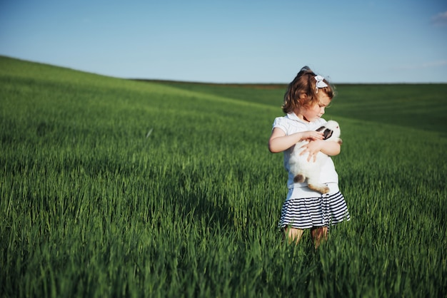 Coniglio del bambino in un campo di grano verde