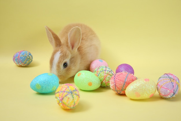 Coniglio di coniglietto di Pasqua con l&#39;uovo dipinto nel cestino di legno